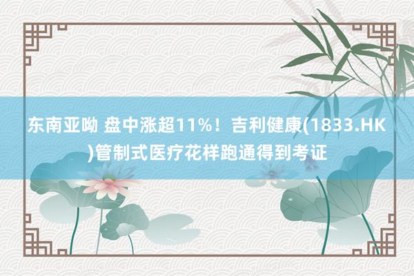 东南亚呦 盘中涨超11%！吉利健康(1833.HK)管制式医疗花样跑通得到考证