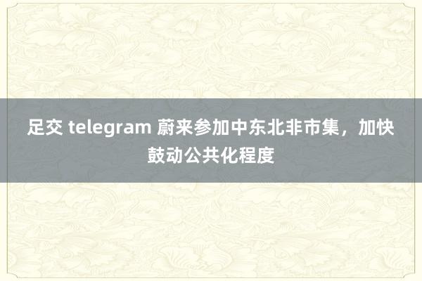 足交 telegram 蔚来参加中东北非市集，加快鼓动公共化程度