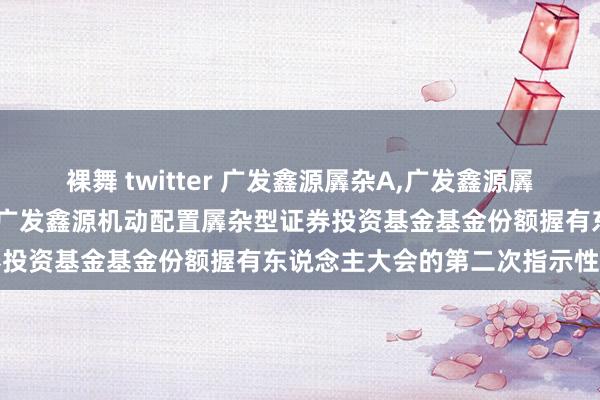 裸舞 twitter 广发鑫源羼杂A,广发鑫源羼杂C: 对于以通信神情召开广发鑫源机动配置羼杂型证券投资基金基金份额握有东说念主大会的第二次指示性公告