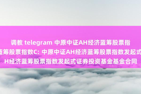 调教 telegram 中原中证AH经济蓝筹股票指数A,中原中证AH经济蓝筹股票指数C: 中原中证AH经济蓝筹股票指数发起式证券投资基金基金合同