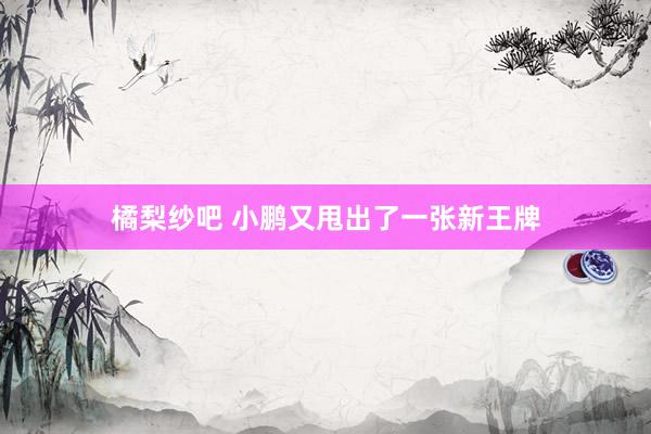 橘梨纱吧 小鹏又甩出了一张新王牌