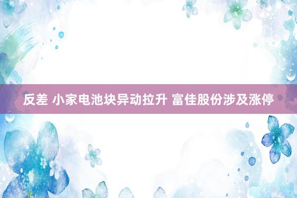 反差 小家电池块异动拉升 富佳股份涉及涨停