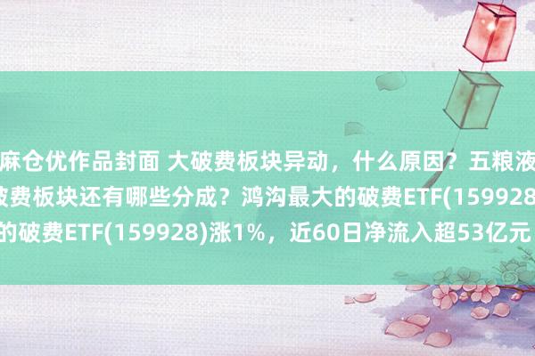 麻仓优作品封面 大破费板块异动，什么原因？五粮液“豪掷”百亿分成，破费板块还有哪些分成？鸿沟最大的破费ETF(159928)涨1%，近60日净流入超53亿元！