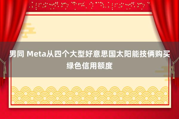 男同 Meta从四个大型好意思国太阳能技俩购买绿色信用额度