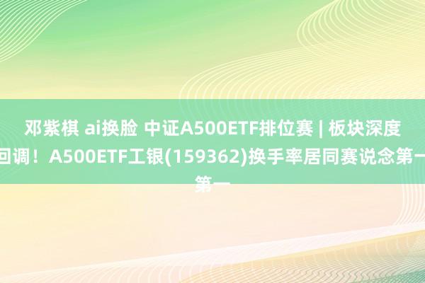 邓紫棋 ai换脸 中证A500ETF排位赛 | 板块深度回调！A500ETF工银(159362)换手率居同赛说念第一