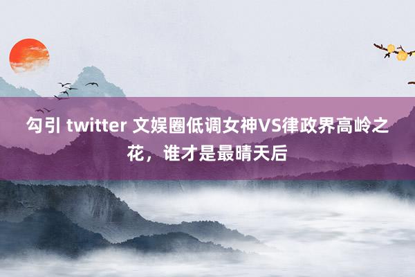 勾引 twitter 文娱圈低调女神VS律政界高岭之花，谁才是最晴天后