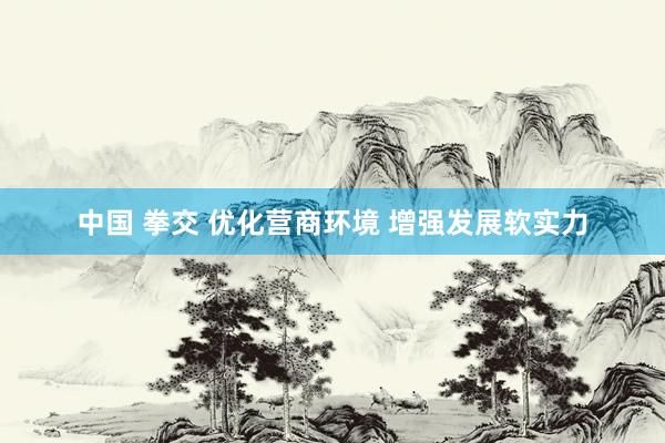 中国 拳交 优化营商环境 增强发展软实力