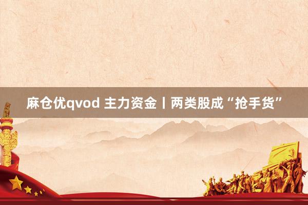麻仓优qvod 主力资金丨两类股成“抢手货”