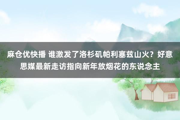 麻仓优快播 谁激发了洛杉矶帕利塞兹山火？好意思媒最新走访指向新年放烟花的东说念主