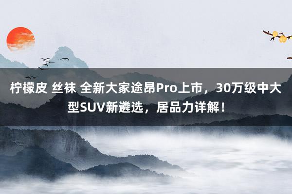 柠檬皮 丝袜 全新大家途昂Pro上市，30万级中大型SUV新遴选，居品力详解！