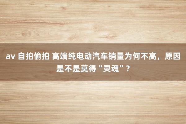 av 自拍偷拍 高端纯电动汽车销量为何不高，原因是不是莫得“灵魂”？