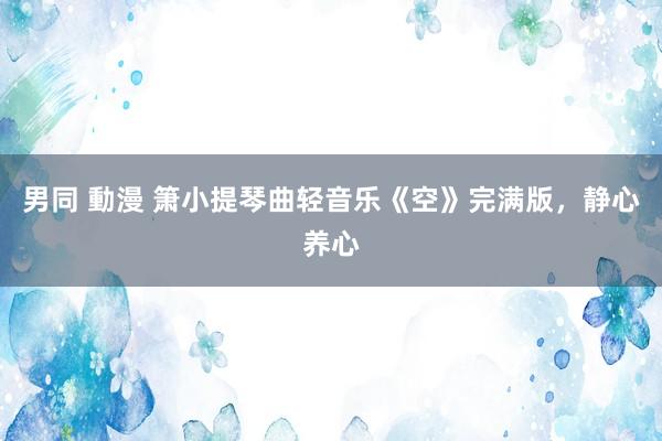 男同 動漫 箫小提琴曲轻音乐《空》完满版，静心养心