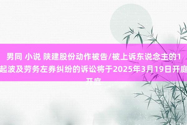 男同 小说 陕建股份动作被告/被上诉东说念主的1起波及劳务左券纠纷的诉讼将于2025年3月19日开庭