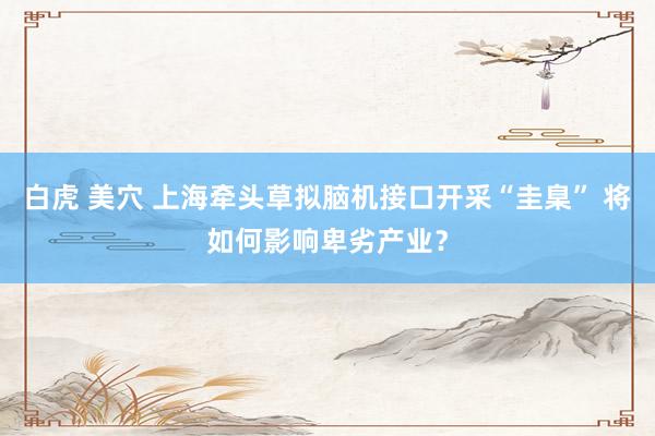 白虎 美穴 上海牵头草拟脑机接口开采“圭臬” 将如何影响卑劣产业？