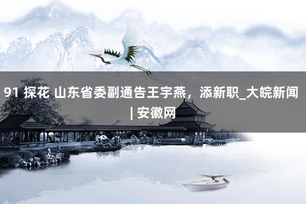 91 探花 山东省委副通告王宇燕，添新职_大皖新闻 | 安徽网