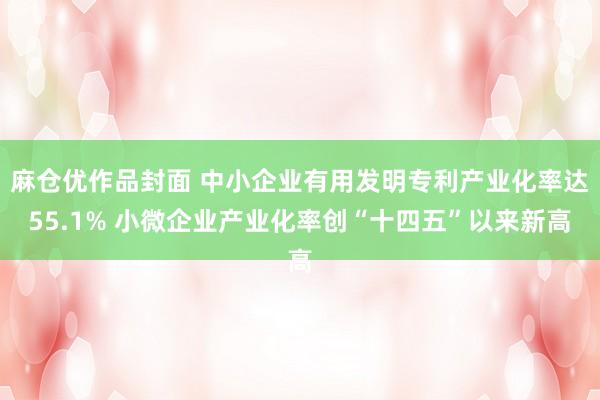 麻仓优作品封面 中小企业有用发明专利产业化率达55.1% 小微企业产业化率创“十四五”以来新高
