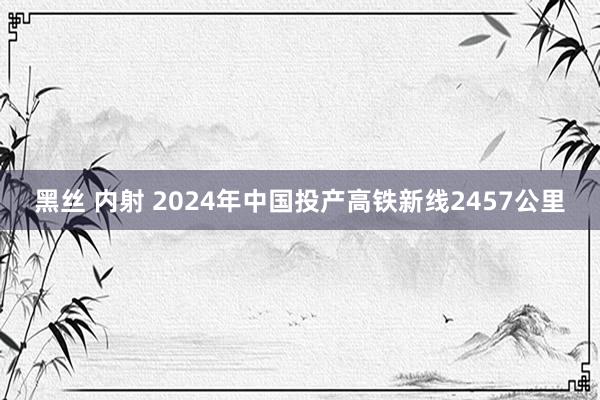 黑丝 内射 2024年中国投产高铁新线2457公里