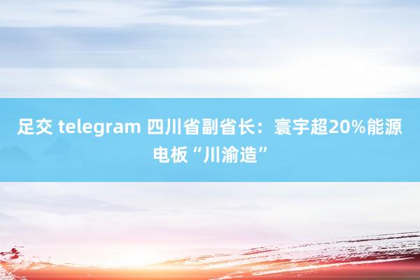 足交 telegram 四川省副省长：寰宇超20%能源电板“川渝造”