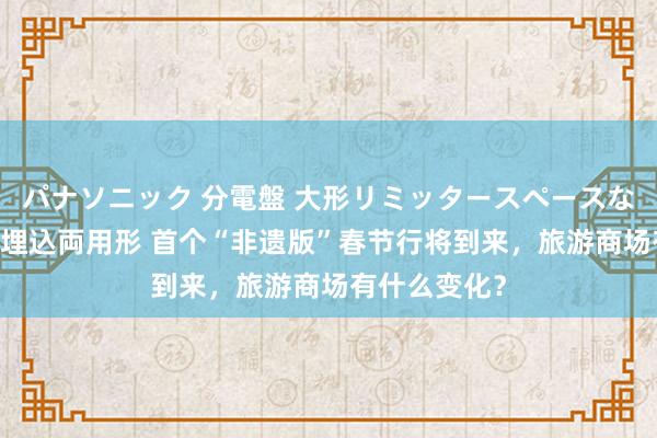 パナソニック 分電盤 大形リミッタースペースなし 露出・半埋込両用形 首个“非遗版”春节行将到来，旅游商场有什么变化？