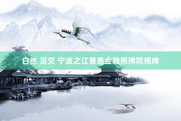 白丝 足交 宁波之江普惠金融照拂院揭牌