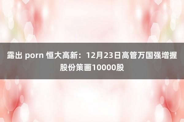 露出 porn 恒大高新：12月23日高管万国强增握股份策画10000股