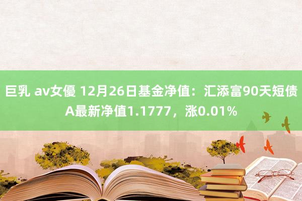 巨乳 av女優 12月26日基金净值：汇添富90天短债A最新净值1.1777，涨0.01%