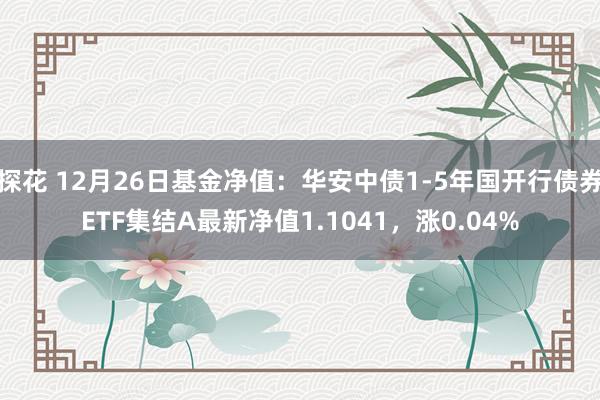 探花 12月26日基金净值：华安中债1-5年国开行债券ETF集结A最新净值1.1041，涨0.04%