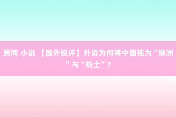 男同 小说 【国外锐评】外资为何将中国视为“绿洲”与“热土”？
