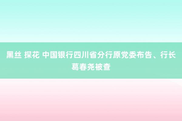 黑丝 探花 中国银行四川省分行原党委布告、行长葛春尧被查