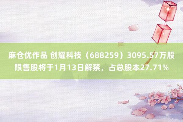 麻仓优作品 创耀科技（688259）3095.57万股限售股将于1月13日解禁，占总股本27.71%