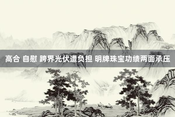 高合 自慰 跨界光伏遭负担 明牌珠宝功绩两面承压