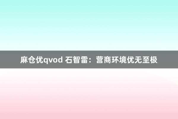 麻仓优qvod 石智雷：营商环境优无至极