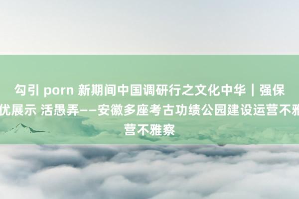 勾引 porn 新期间中国调研行之文化中华｜强保护 优展示 活愚弄——安徽多座考古功绩公园建设运营不雅察
