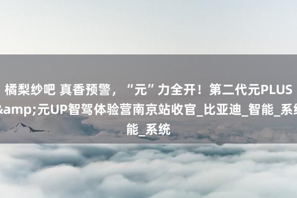 橘梨纱吧 真香预警，“元”力全开！第二代元PLUS &元UP智驾体验营南京站收官_比亚迪_智能_系统