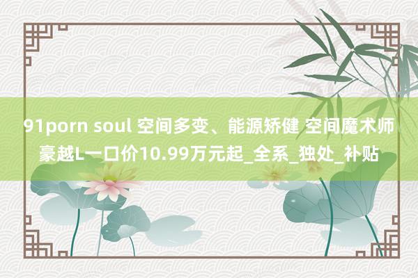 91porn soul 空间多变、能源矫健 空间魔术师豪越L一口价10.99万元起_全系_独处_补贴