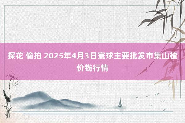 探花 偷拍 2025年4月3日寰球主要批发市集山楂价钱行情