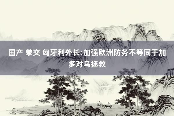 国产 拳交 匈牙利外长:加强欧洲防务不等同于加多对乌拯救