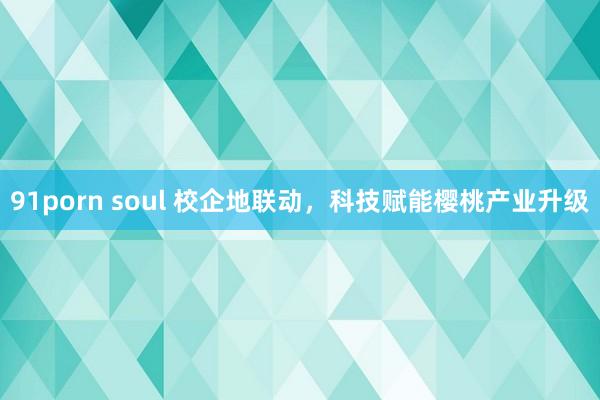 91porn soul 校企地联动，科技赋能樱桃产业升级