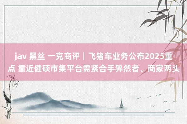 jav 黑丝 一克商评丨飞猪车业务公布2025重点 靠近健硕市集平台需紧合手猝然者、商家两头