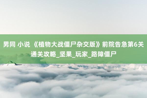 男同 小说 《植物大战僵尸杂交版》前院告急第6关通关攻略_坚果_玩家_路障僵尸