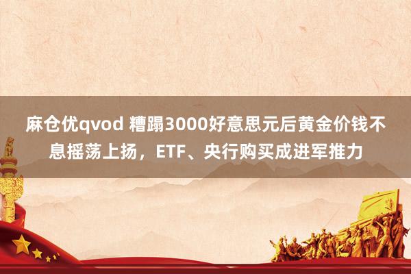 麻仓优qvod 糟蹋3000好意思元后黄金价钱不息摇荡上扬，ETF、央行购买成进军推力