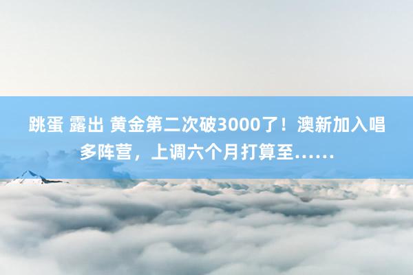 跳蛋 露出 黄金第二次破3000了！澳新加入唱多阵营，上调六个月打算至……
