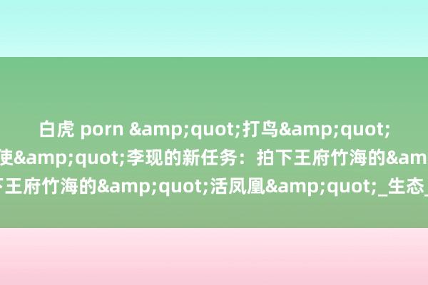 白虎 porn &quot;打鸟&quot;爆火！&quot;花鸟使&quot;李现的新任务：拍下王府竹海的&quot;活凤凰&quot;_生态_文化_当然