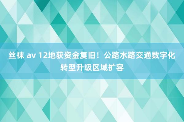 丝袜 av 12地获资金复旧！公路水路交通数字化转型升级区域扩容