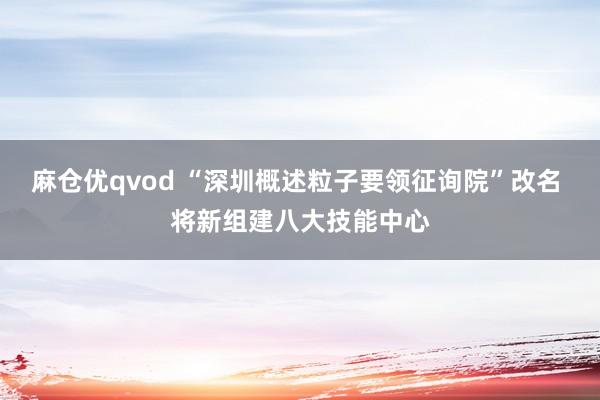 麻仓优qvod “深圳概述粒子要领征询院”改名 将新组建八大技能中心