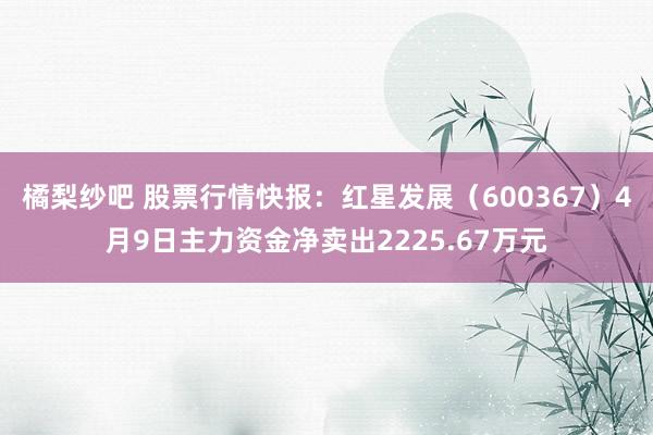橘梨纱吧 股票行情快报：红星发展（600367）4月9日主力资金净卖出2225.67万元