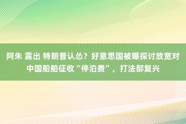 阿朱 露出 特朗普认怂？好意思国被曝探讨放宽对中国船舶征收“停泊费”，打法部复兴