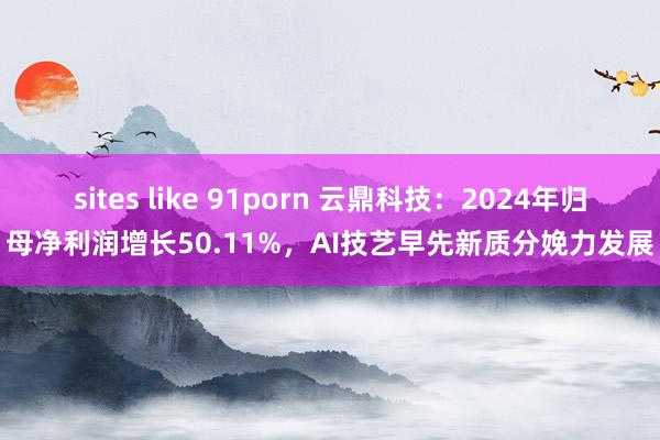 sites like 91porn 云鼎科技：2024年归母净利润增长50.11%，AI技艺早先新质分娩力发展