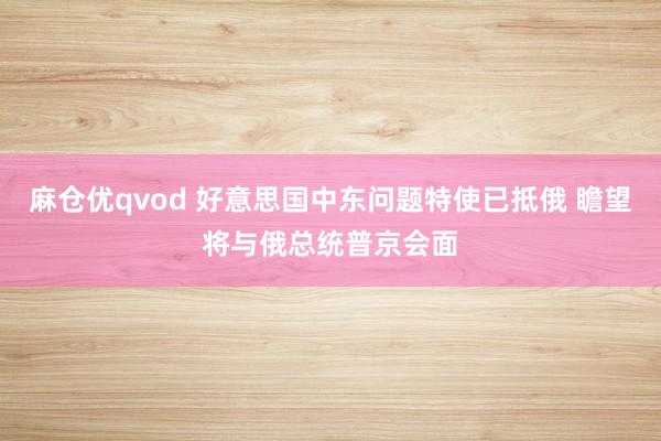 麻仓优qvod 好意思国中东问题特使已抵俄 瞻望将与俄总统普京会面