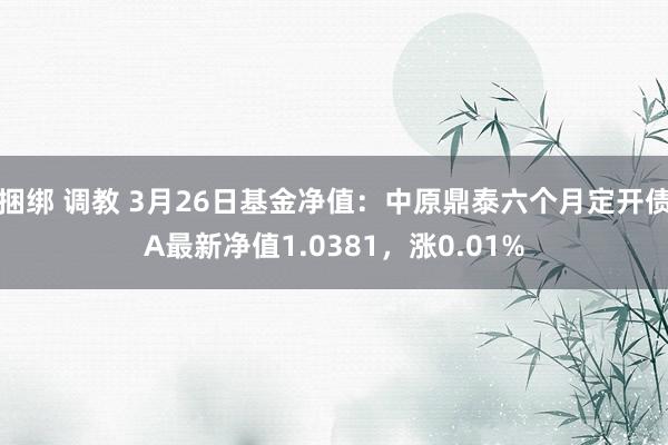 捆绑 调教 3月26日基金净值：中原鼎泰六个月定开债A最新净值1.0381，涨0.01%